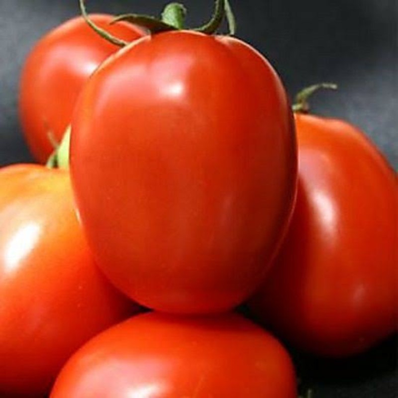 वैशाली टोमॅटो (Vaishali Tomato) 500 g