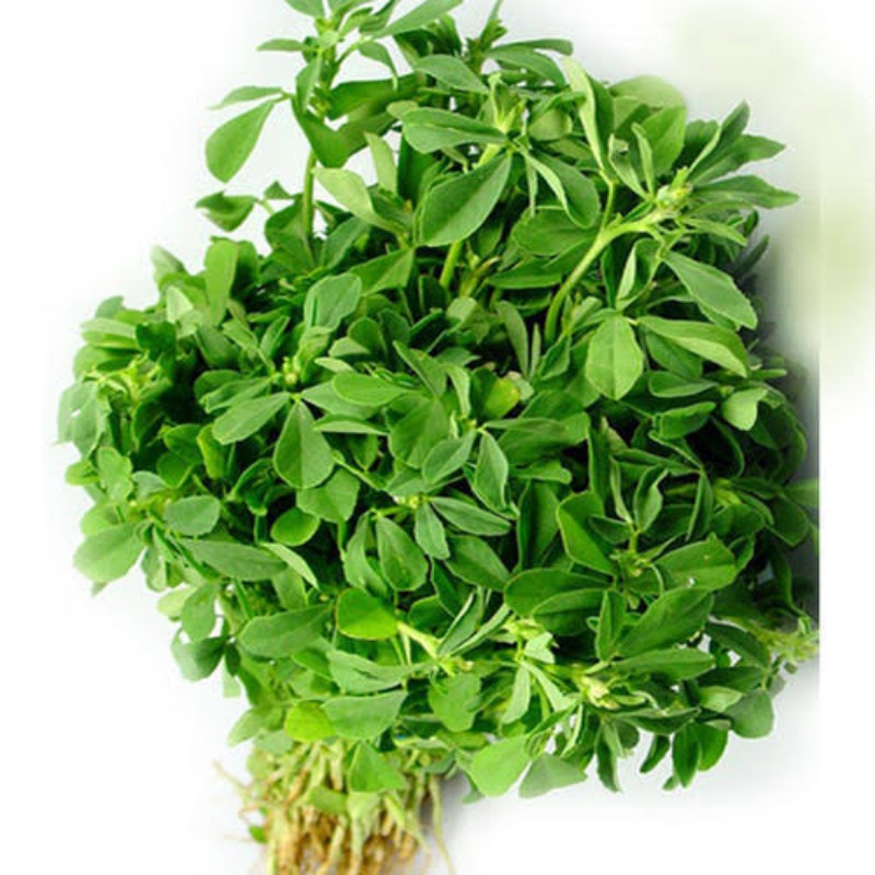 मेथी (Fenugreek) 200-250 g