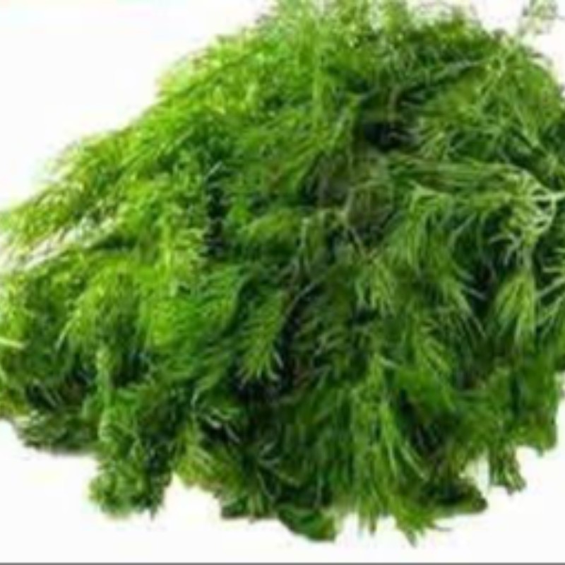 शेपू (Dill Leaves) 100-200 g