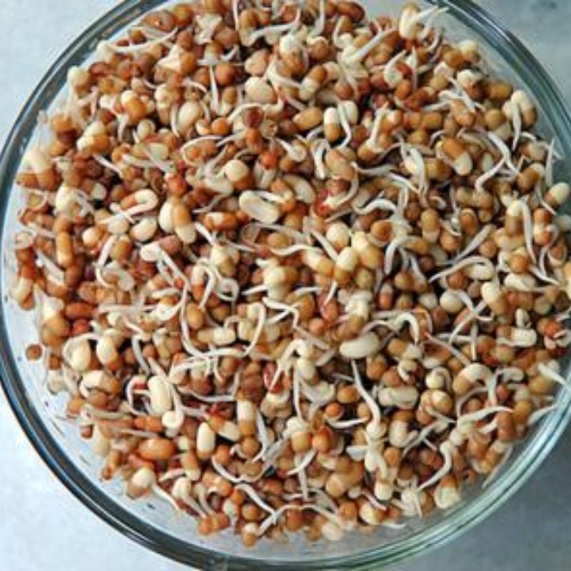 मटकी (Matki) 250 g
